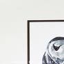 A black and white representation of a puffin.
An original piece of artwork inspired by my love of nature and the use of monochrome to represent my subjects.
The artwork comes double mounted, as seen in the pictures.
The dimensions include the mount.
