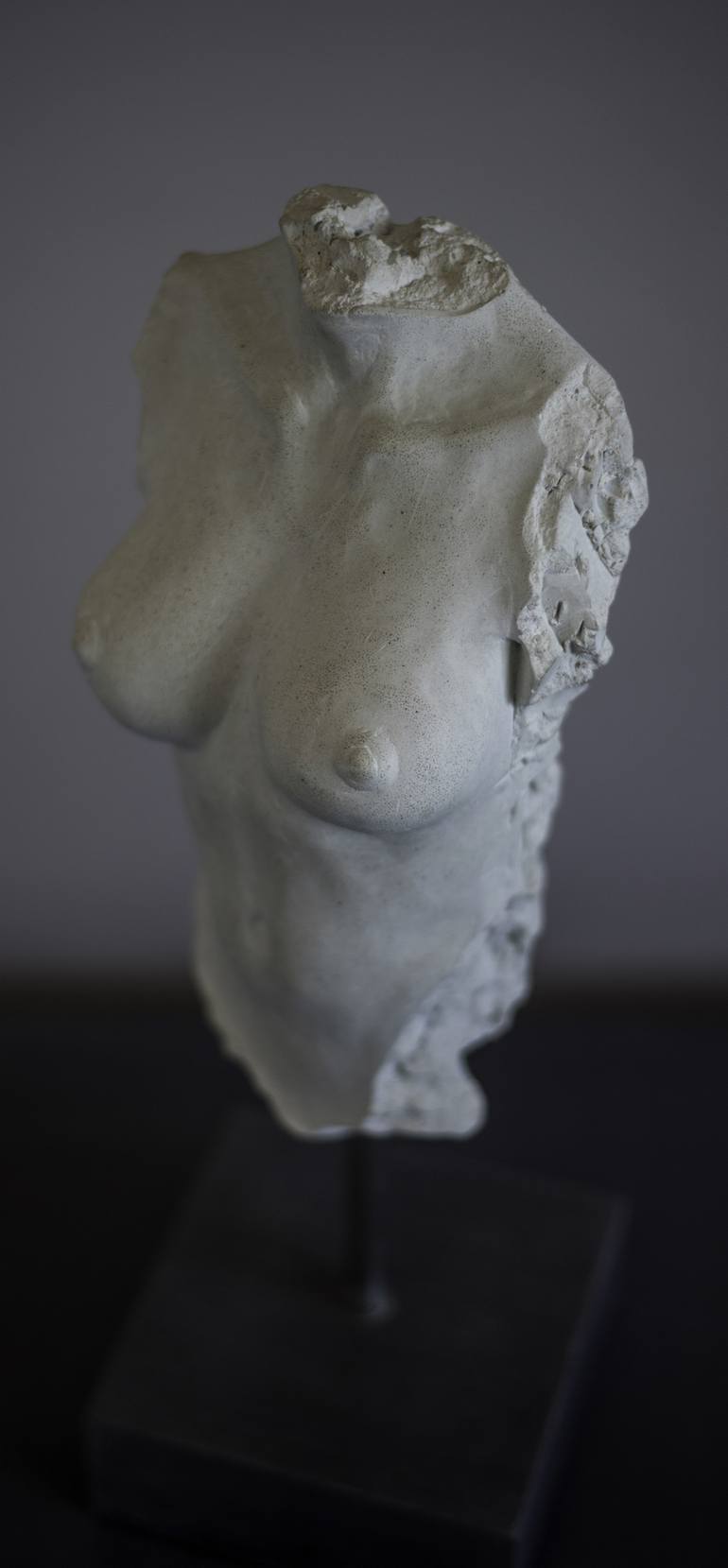 Original Nude Sculpture by Gerhard van Niekerk