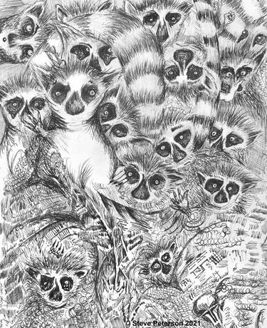 Original Illustration Animal Drawings by Steve Peterson