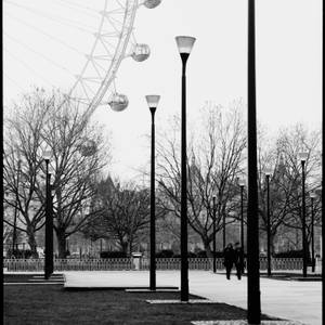 Collection Artists of the Week 01-07-2019