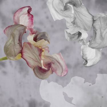 Original Documentary Floral Mixed Media by Ulla Vaatainen