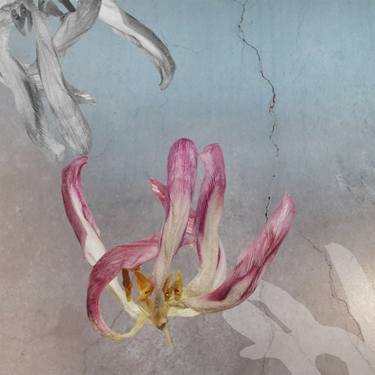 Original Floral Mixed Media by Ulla Vaatainen