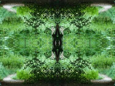 Print of Abstract Tree Photography by Cedric Lamarcelle