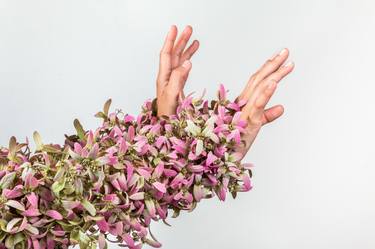 La Lluvia de Orquídeas - Limited Edition 1 of 5 thumb