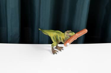 Original Conceptual Animal Photography by Loulou Von Glup