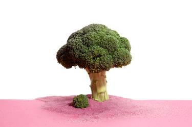 Essence of a tree on a desert island - Limited Edition of 25 thumb