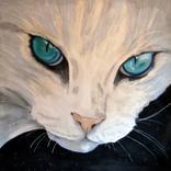 Collection Cat Art & IIlustrations