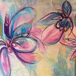 Hibiscus by Anne-Maree Wise