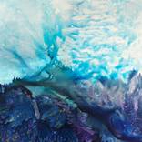 The Shallows i by Jennifer Webb