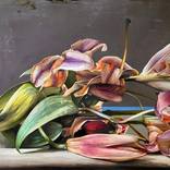 Faded lilies by Caroline Westerhout