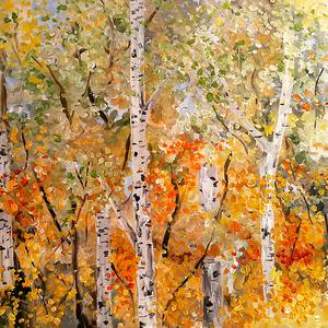Collection Birch Trees