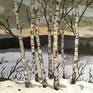 Collection Birch Trees