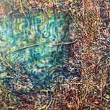 Inside Outside Inside by Carol-anne Gainer