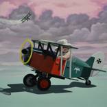 Girls Can Fly, Too by David Fisher