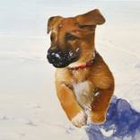 Snow! by David Fisher