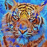 Collection Digital Art / Digital Painting by Beate Brass