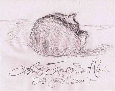 Original Documentary Cats Drawings by Louis-Francois Alarie
