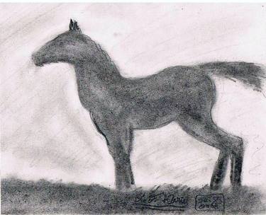 Original Documentary Horse Drawings by Louis-Francois Alarie