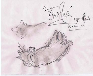 Original Documentary Cats Drawings by Louis-Francois Alarie