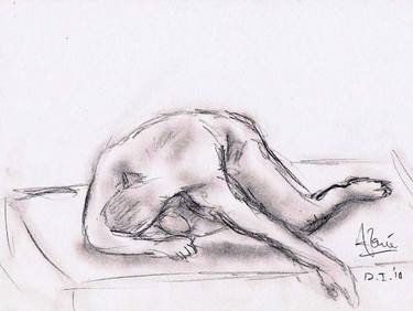 Original Documentary Nude Drawings by Louis-Francois Alarie