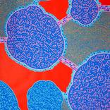 Collection Inspired by Takashi Murakami