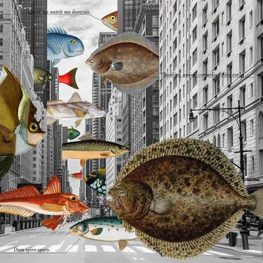 Print of Pop Art Animal Collage by Luigi Tarini