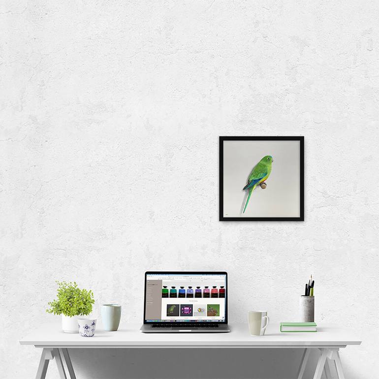 Original Figurative Animal Painting by Amanda Gosse