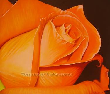 Original Realism Floral Paintings by Tommaso Valenzano