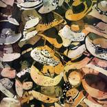 Collection Fashion Favors