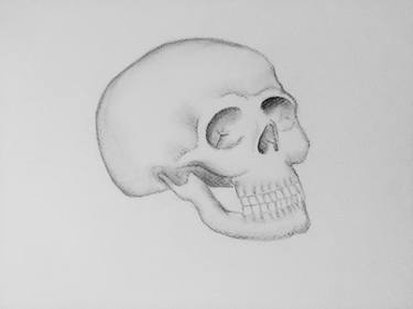 Original Realism Mortality Drawings by Sara Gorley