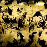 Collection Local Brooklyn Artists