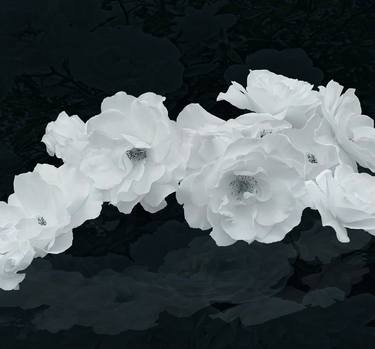 Original Figurative Botanic Digital by Peter Arnell