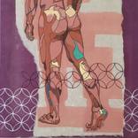 Collection New Male Nudes