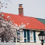 Collection Alexandria Virginia