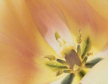 Original Impressionism Floral Photography by Richard Latoff