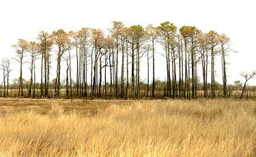 Print of Fine Art Places Photography by Richard Latoff