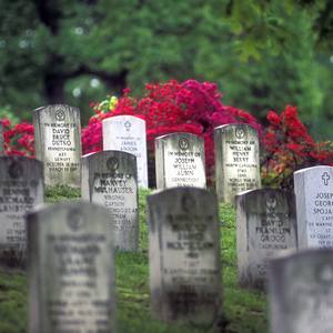 Collection Arlington National Cemetery