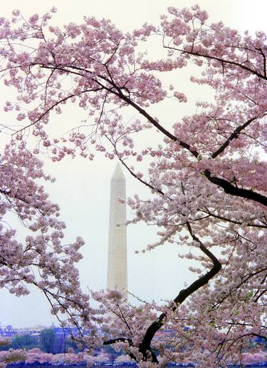 Print of Documentary Places Photography by Richard Latoff