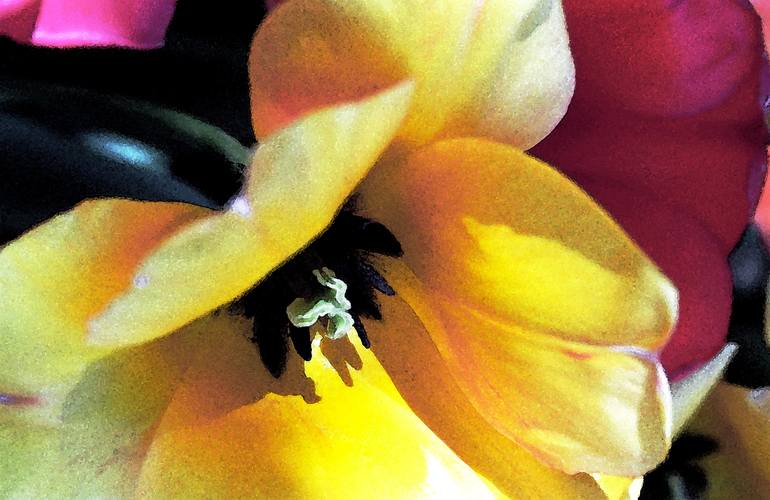 Original Floral Photography by Richard Latoff | Impressionism Art on Canvas | Tulips Yellow and Red - Limited Edition 1 of 50