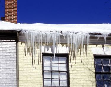 Print of Seasons Photography by Richard Latoff