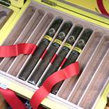 Collection Cigars