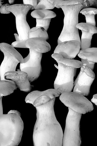 Mushrooms # 1 2019 - Limited Edition of 50 thumb