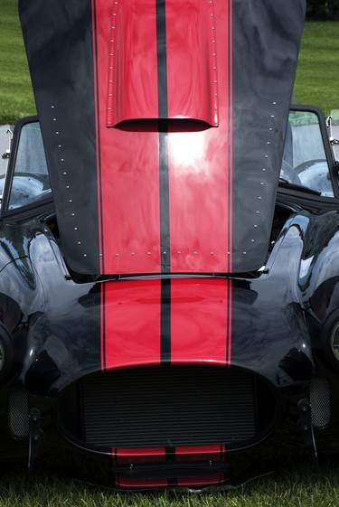 Red & Black Shelby Hood 19 - Limited Edition of 50 thumb