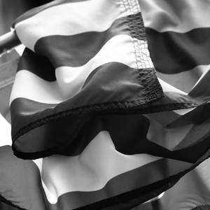 Collection USA Flags