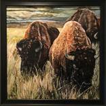Bison by Kendall Lewis