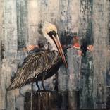 Brown Pelican by Kendall Lewis