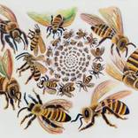 Bees by Ana Maria Velasco