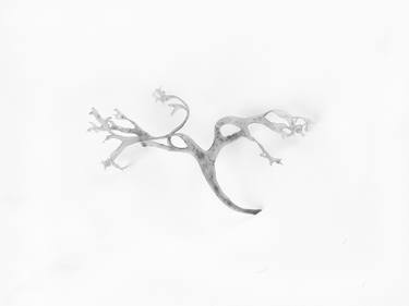 Valeria Keller | Saatchi Art