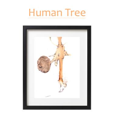 Human Tree thumb
