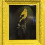 Who's a Pretty Boy? (Yellow) by Francis Minien